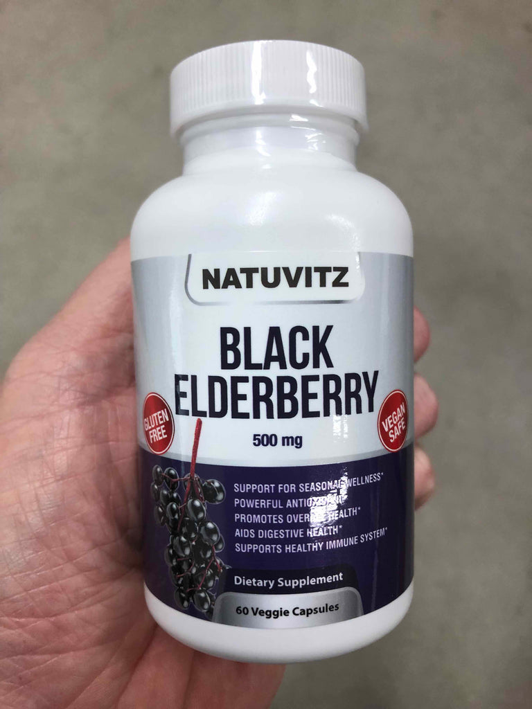 All about Black Elderberry