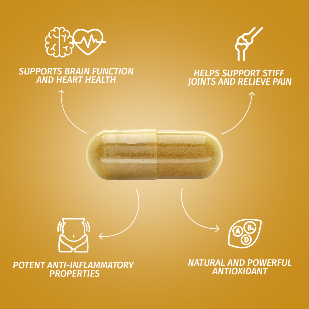 Turmeric Curcumin with Ginger Root and BioPerine - NATUVITZ